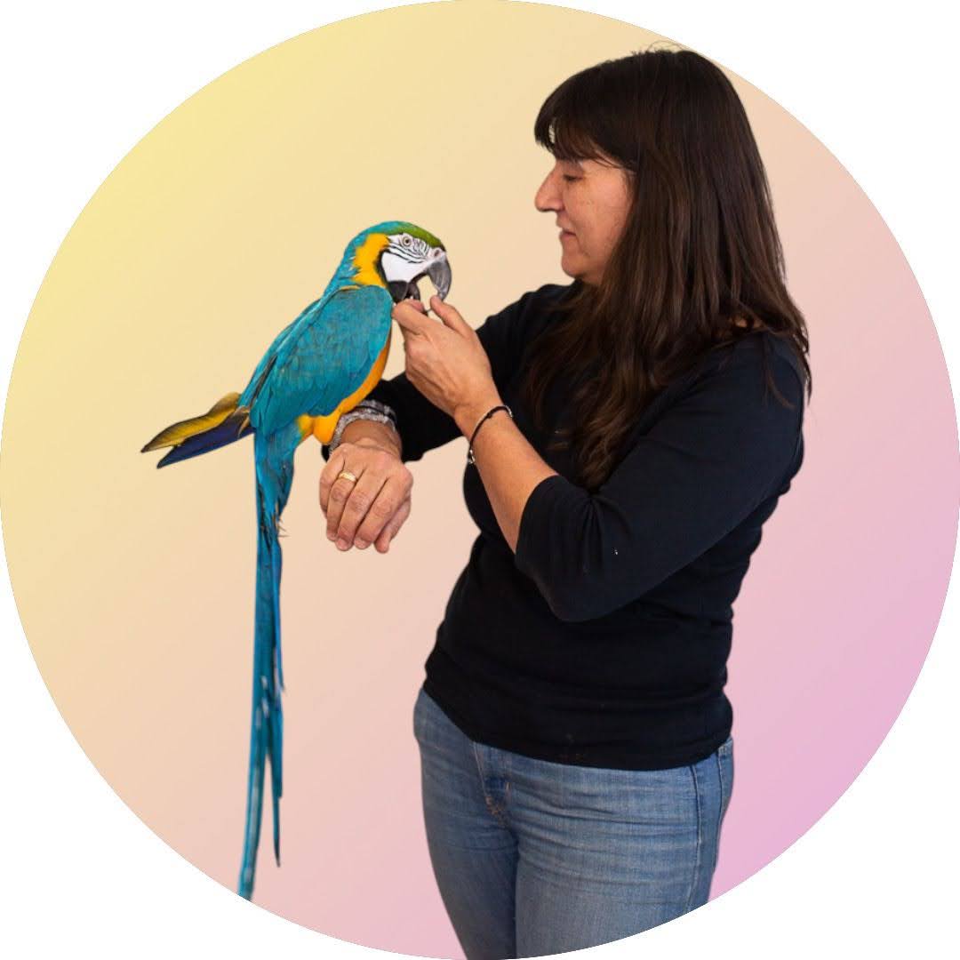 Montse Villena — experta en loros